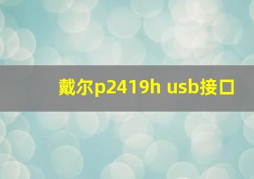 戴尔p2419h usb接口